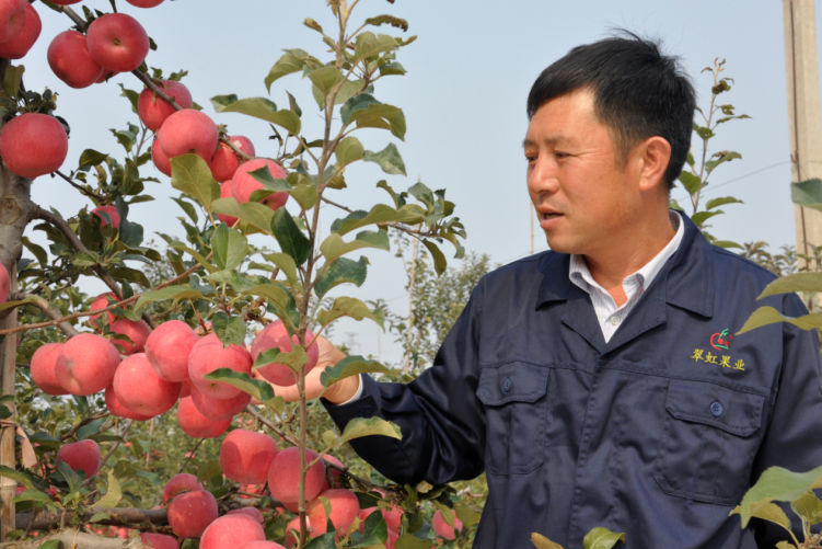 翠虹果品岳建東：市首屆“十佳”新型職業(yè)農(nóng)民 現(xiàn)代果業(yè)的探路人(圖1)